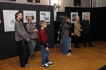Chełmno: W Sali Mieszczańskiej Ratusza poczujesz się jak nad morzem