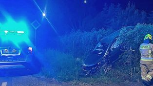 Dzik wbiegł przed skodę. Zdarzenie drogowe na ulicy Warszawskiej w Czerwińsku