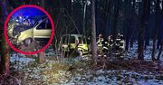 Toruń: Poranek przerwał nagły huk. Auto zderzyło się z dzikiem