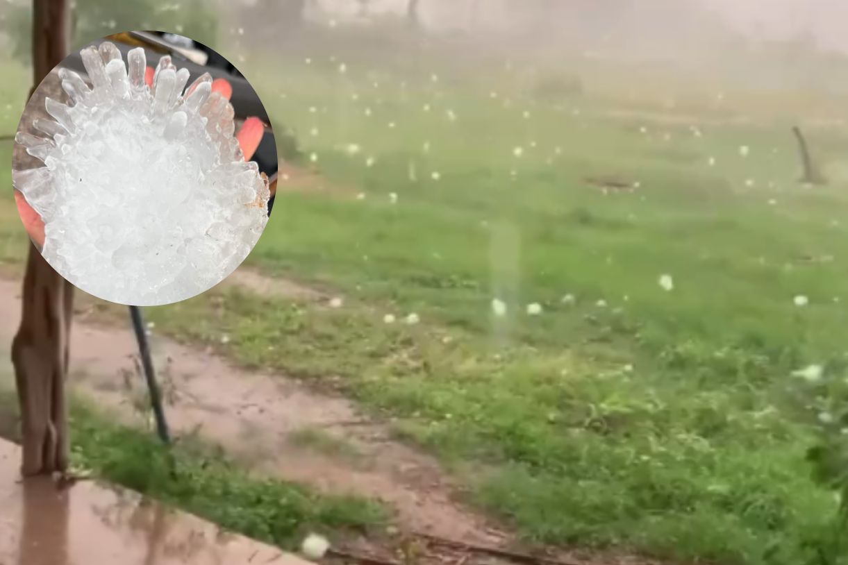 Hailstorm in Texas. A record-breaking hailstone reached the size of a ripe pineapple.