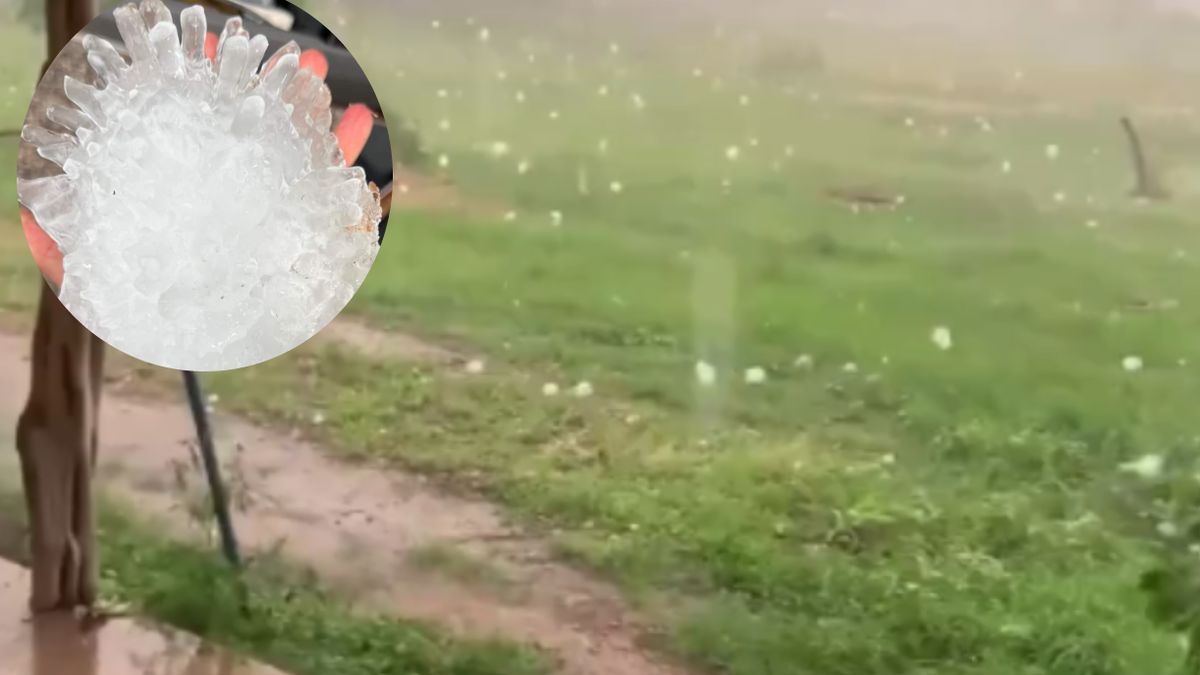 Gradobicie w Teksasie. Rekordowa gradzina osiągnęła wielkość dojrzałego ananasa.