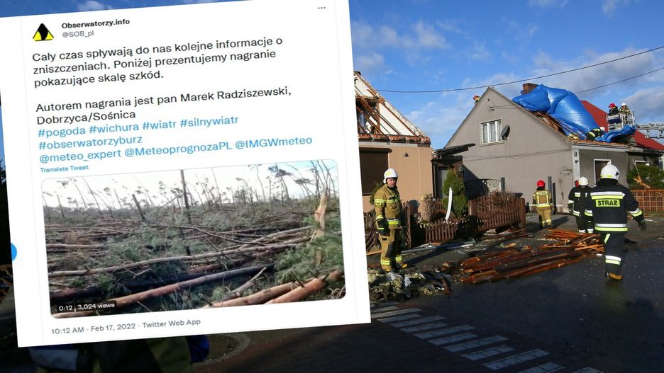 Dobrzyca. Trąba powietrzna obaliła las 