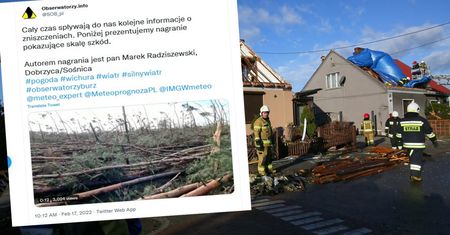 Trąba powietrzna obaliła las w Dobrzycy. Stos drzew na ziemi
