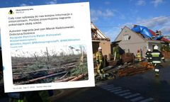 Trąba powietrzna obaliła las w Dobrzycy. Stos drzew na ziemi