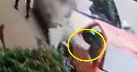 Jeden kopał samochody, drugi zaatakował przechodnia. Nagranie z Krakowa