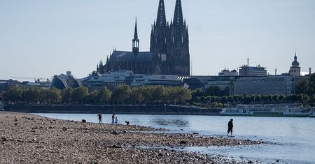 Ren odsłania amunicję i dławi transport. Paliwo może zdrożeć