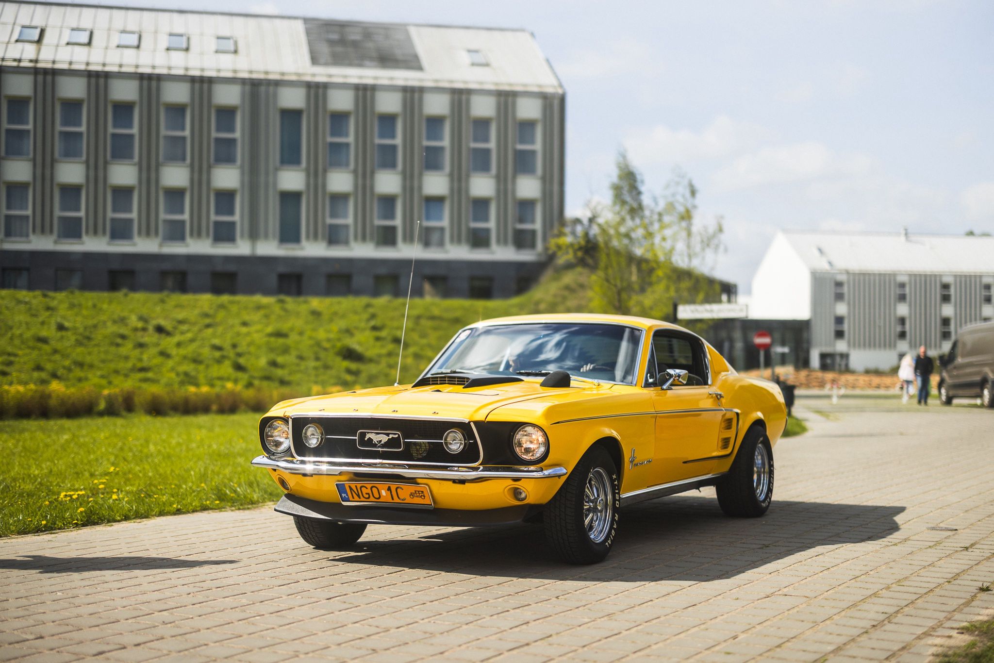 Zlot Mustang Klub Polska 2024