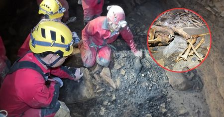 Chiny: mroczne odkrycie w największej jaskini w Azji. 52 skamieliny pandy wielkiej