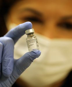 "Newsroom". Program specjalny WP