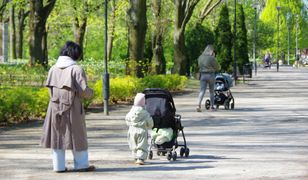 Ważny termin z 800 plus. To ostatni dzwonek na złożenie wniosku