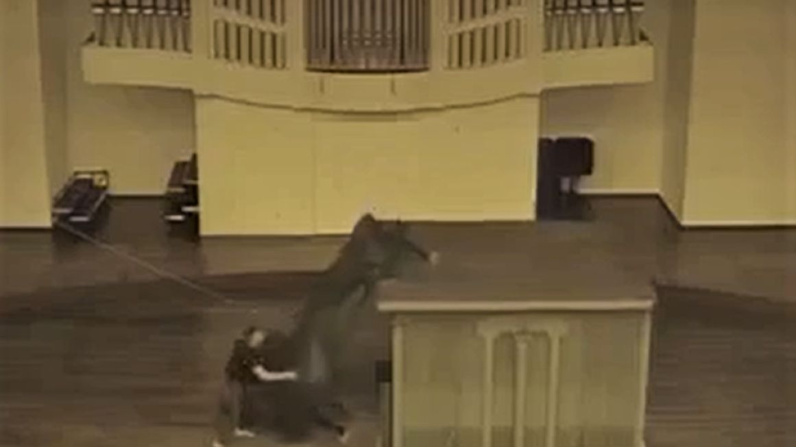 Fortepian został zniszczony 