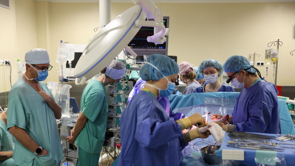 Dzięko organom, pobranym za zgoda rodziny od 23-letniego 