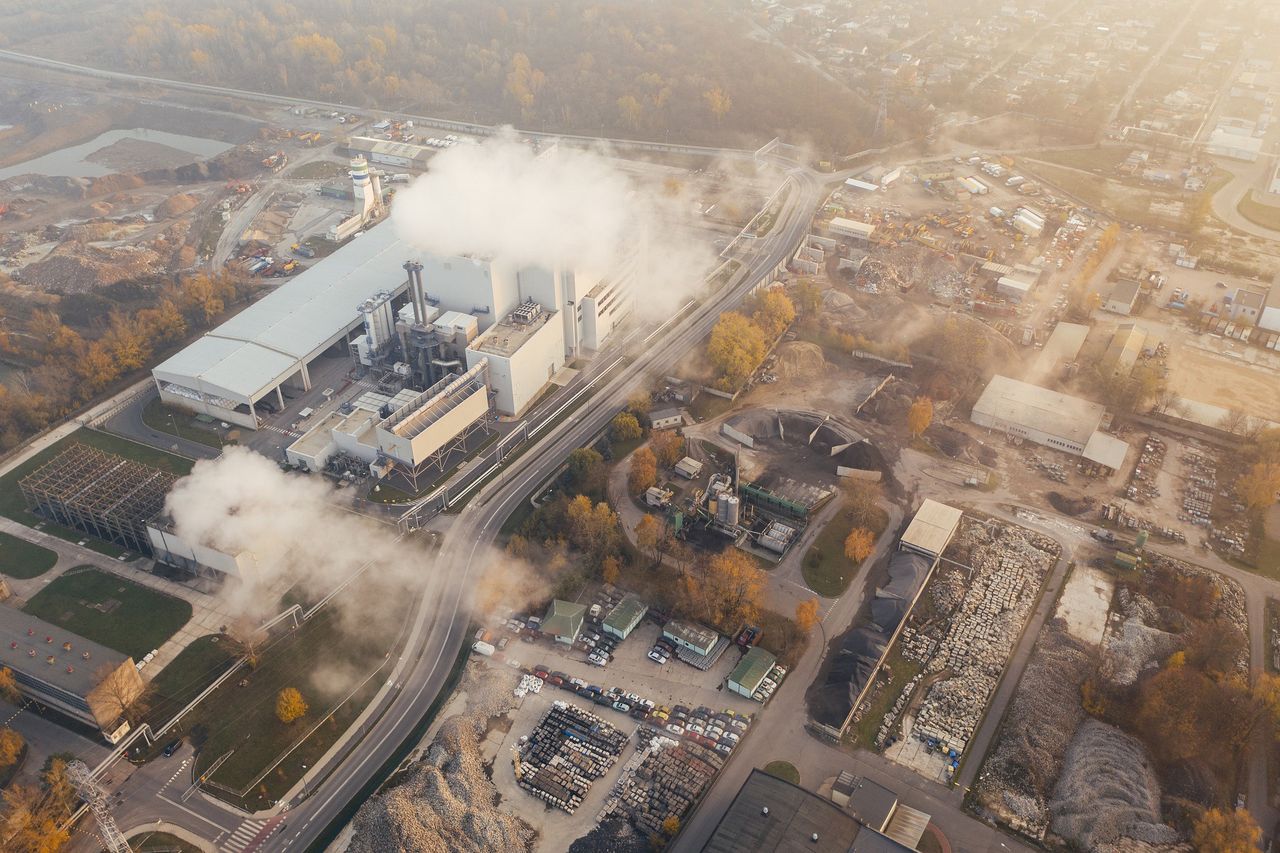 Katowice. Humaniści z Uniwersytetu Śląskiego chcą uczyć o zmianach klimatu.