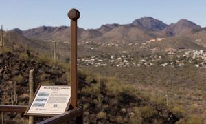 Jak będzie wyglądać świat za tysiąc lat? Chcą poznać odpowiedź