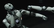 Startuje robotyczne MMA. W klatce będą walczyć roboty T800