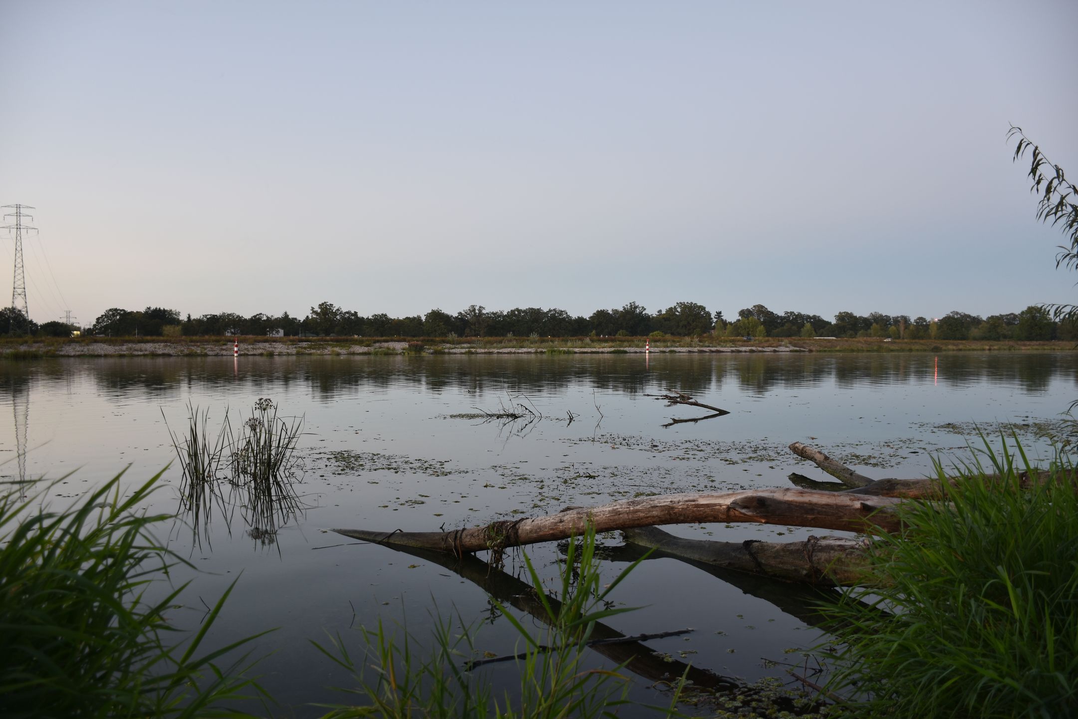 Nikon D3500 pomoże ci uchwycić najważniejsze momenty w życiu [test] 17