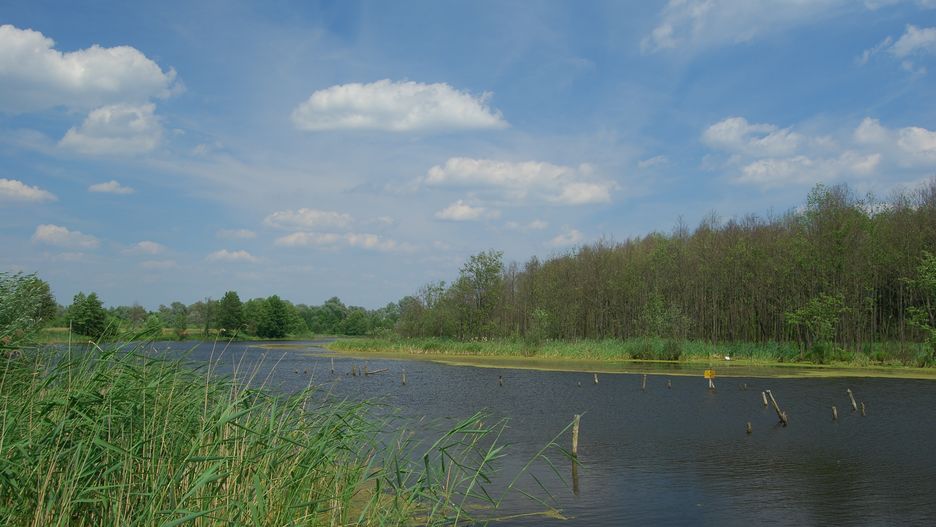 Jak głosowali mieszkańcy Orchówka pod Włodawą w wyborach 2025?