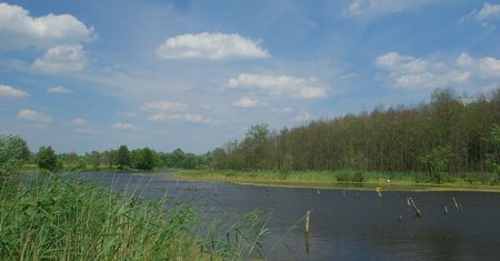 Wyniki wyborów prezydenckich 2025 w Orchówku pod Włodawą. Kto wygrał w miejscowości blisko Ukrainy i Białorusi?