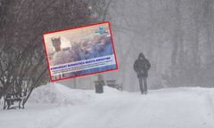 Ekstremalne mrozy za oknem. Burmistrz Kwidzyna reaguje