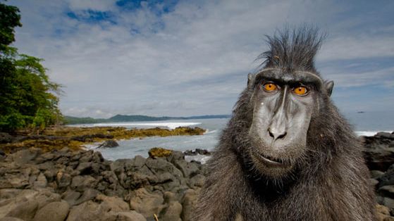 Fotografia Dzikiej Przyrody 2008 ? wystawa pokonkursowa 1