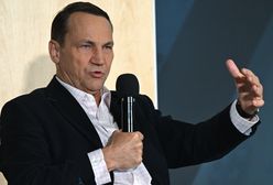 Szybka reakcja Polski. "Wszystkie artefakty już zniknęły"