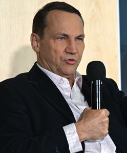 Szybka reakcja Polski. "Wszystkie artefakty już zniknęły"