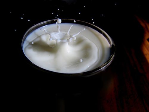 Styropian z białek mleka i gliny