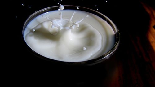 Styropian z białek mleka i gliny 1