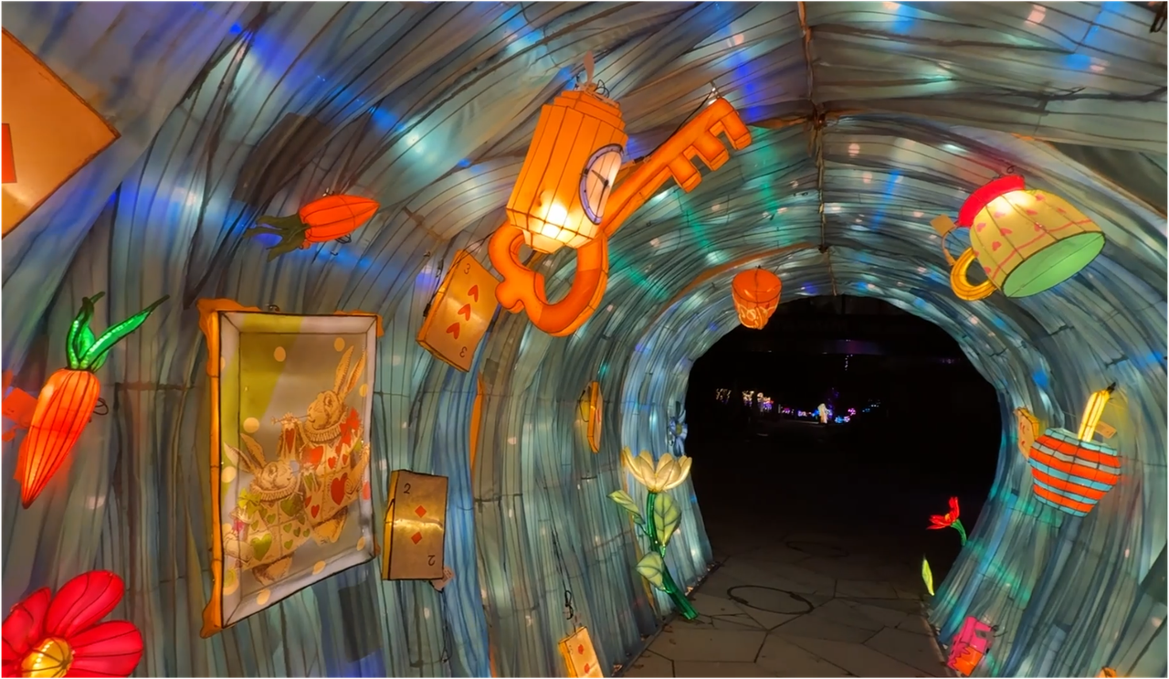 Łódź ma nową atrakcję. Co za widok na terenie Orientarium