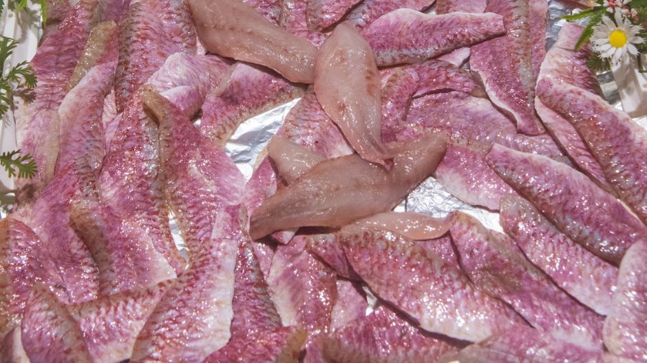 W jakich rybach znajdziemy najwięcej rtęci?