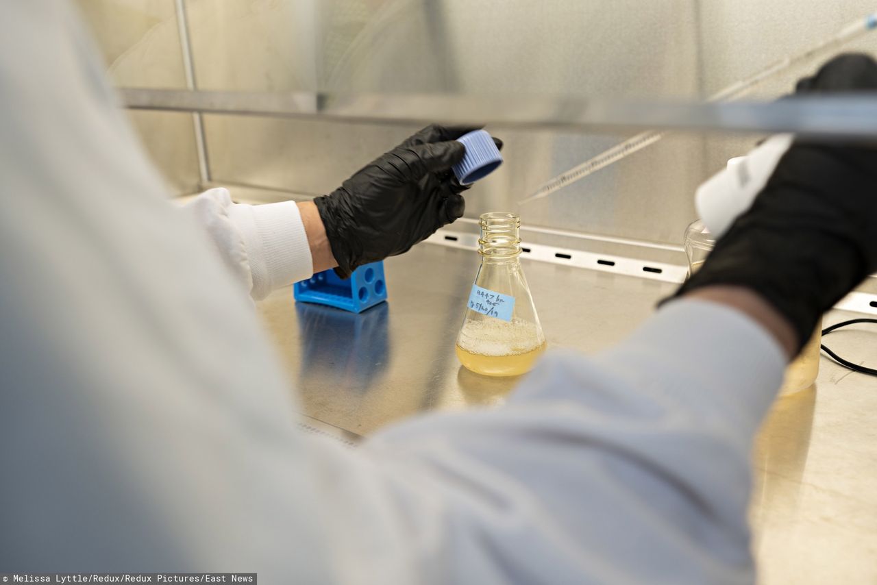 Szczepionka na COVID-19. Jakie różnice między preparatami?