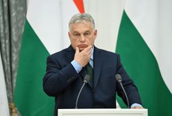 Zaskakujący wynik sondażu. Węgrzy o Rosji, Ukrainie i sojusznikach w NATO