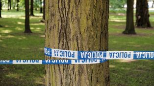Rokiciny: Tragedia na Pomorzu. Nie żyje 15-latka, która uderzyła motocyklem w drzewo