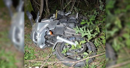 Łoś wbiegł tuż przed nadjeżdżający motocykl