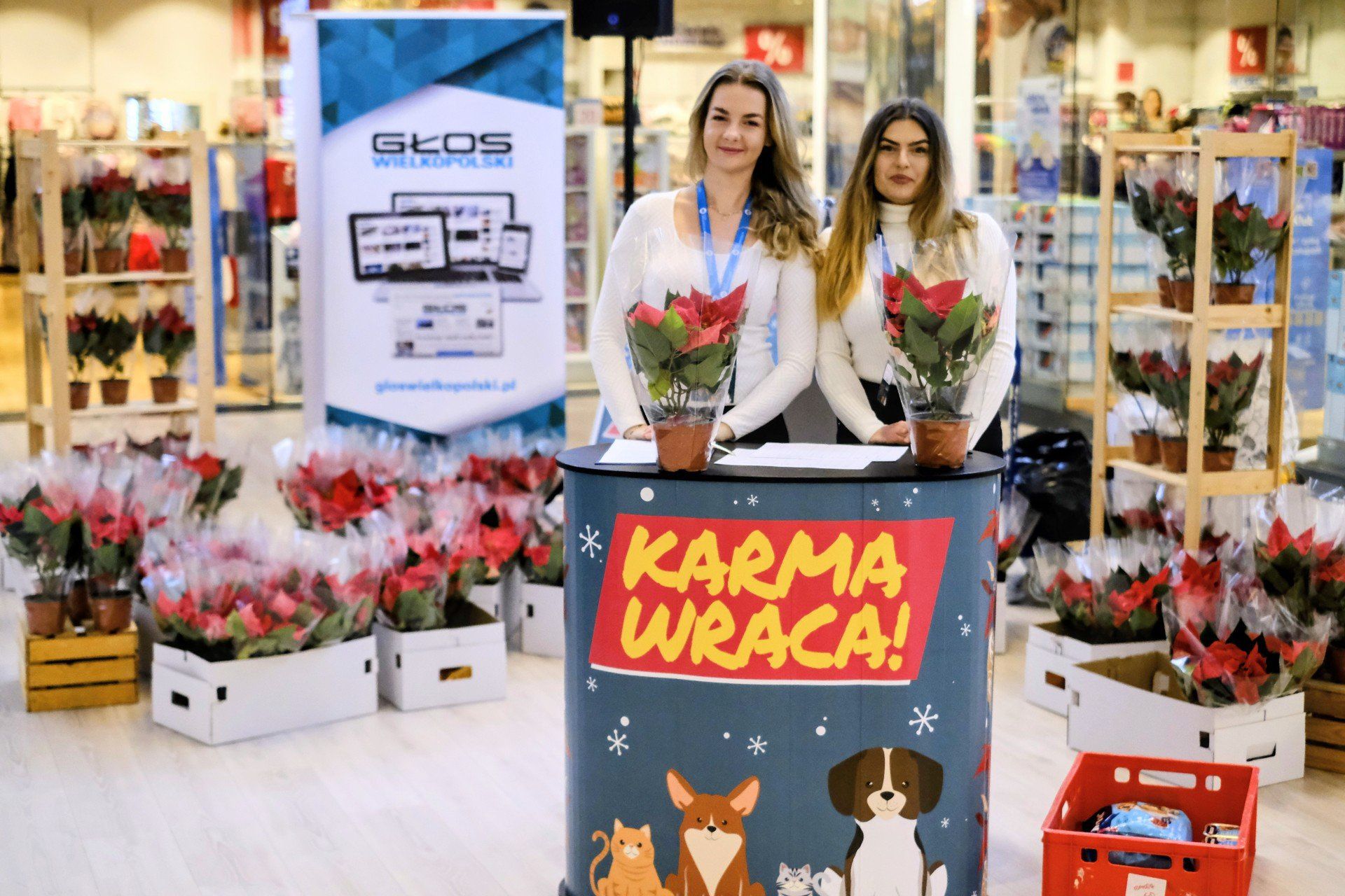 Karma Wraca w Factory Poznań