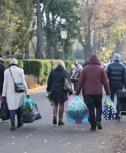 To hit cmentarzy. "Najlepszym rozwiązaniem byłoby ich wycofanie"