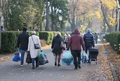 To hit cmentarzy. "Najlepszym rozwiązaniem byłoby ich wycofanie"