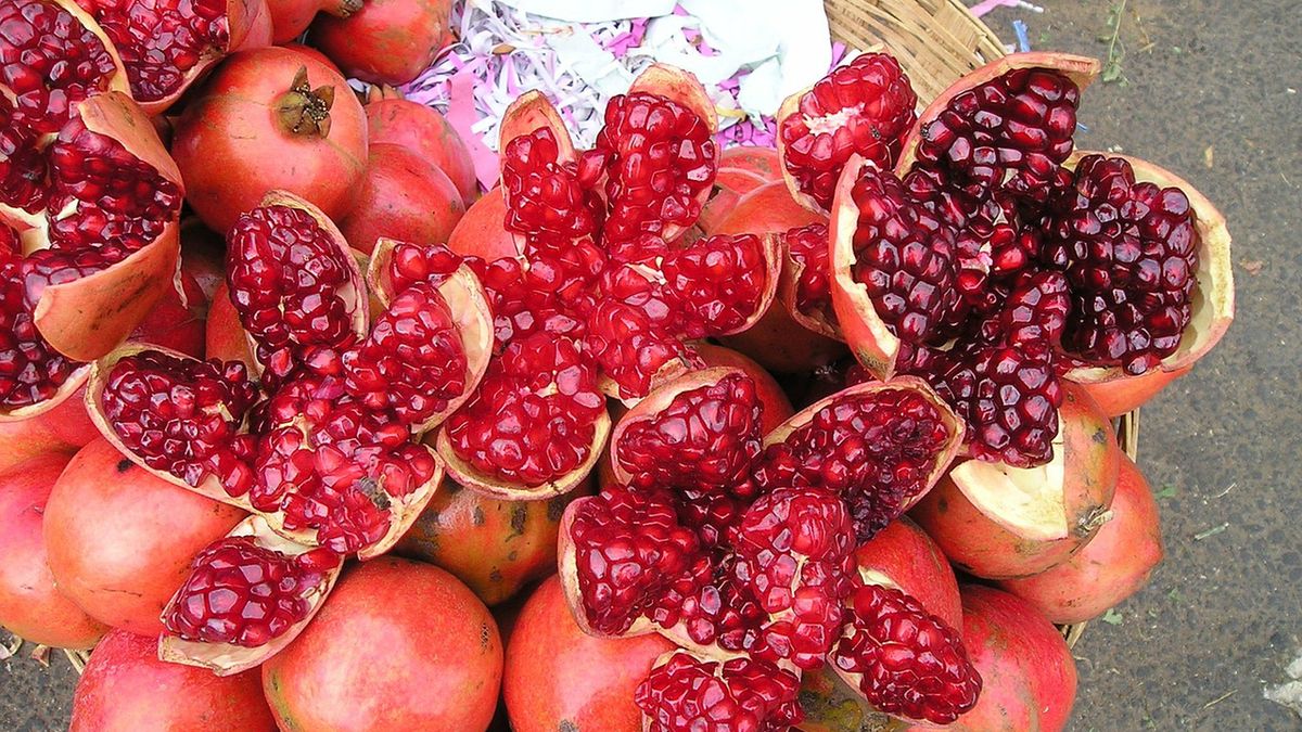 Hormony głodu i sytości - jak dieta wpływa na ich poziom?