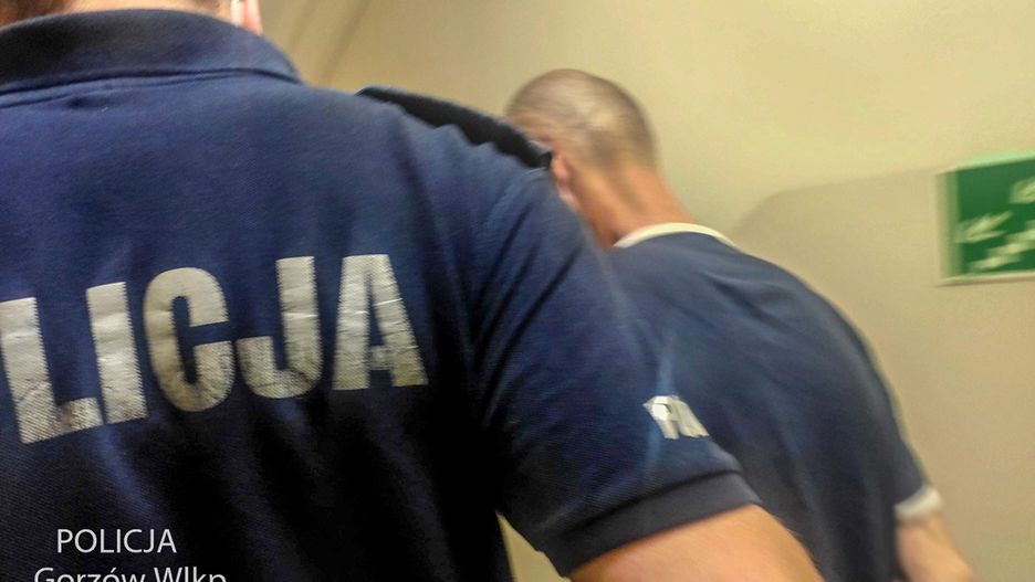 policja