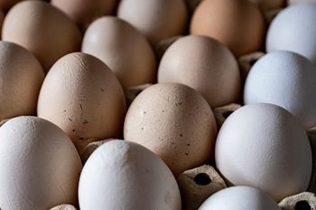 Sanepid ostrzega: uważaj na te jaja. Wykryto w nich obecność bakterii Salmonella. "Ryzyko zatrucia pokarmowego"