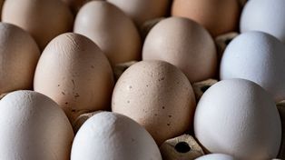 Sanepid ostrzega: uważaj na te jaja. Wykryto w nich obecność bakterii Salmonella. "Ryzyko zatrucia pokarmowego"