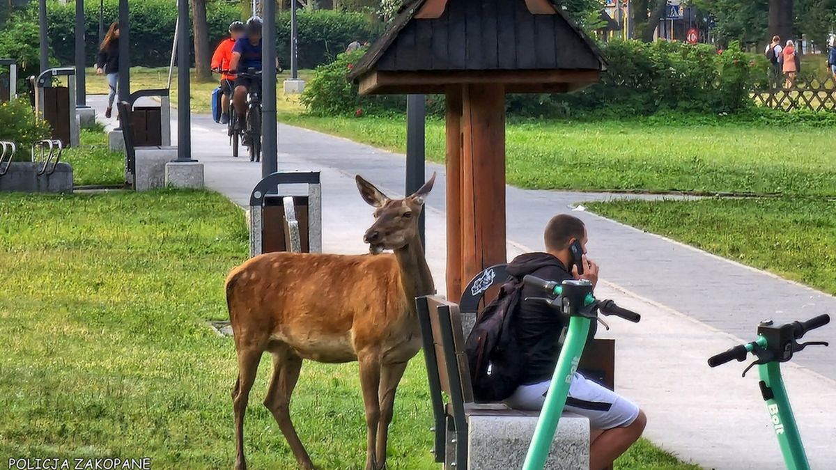 Zdjęcie ilustracyjne.