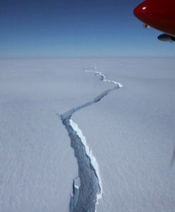 Antarktyda. Gigantyczna góra lodowa oderwała się od lodowca