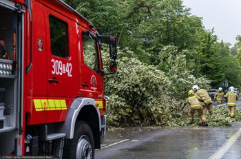 Ponad 100 interwencji straży. Skutki wichur nad Polską
