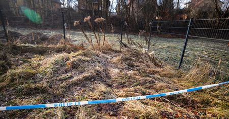 Zabójstwo dziewczynki. Sąd: odbyło się posiedzenie z udziałem 12-latki