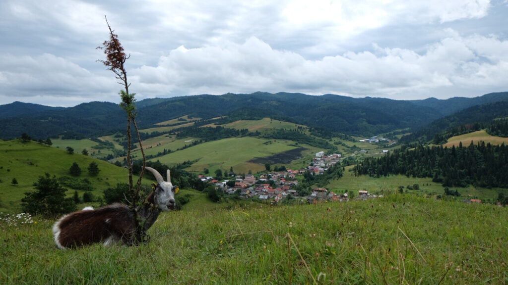 Lipnik w Słowacji - Przełęcz pod Tokarnią
