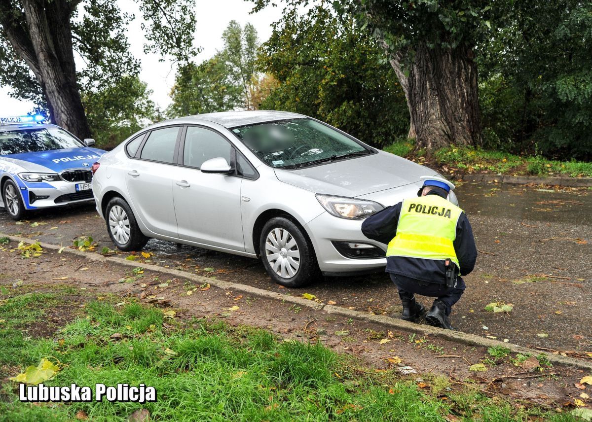 Wielka akcja w całym kraju. Policja sprawdzi jedną rzecz