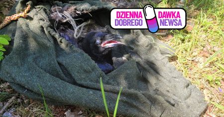 Wisiał tuż pod drzewem. Zaplątany w sznurki i bezbronny. Nie czekali