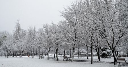 Śnieżyce nad Polską. IMGW wydało alerty pierwszego stopnia