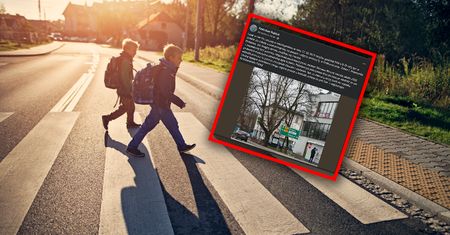 "Zwyzywali dziecko i zostawili". Ojciec szuka sprawców wypadku na pasach